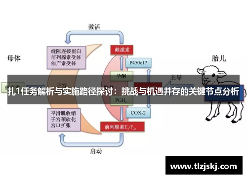 扎1任务解析与实施路径探讨:挑战与机遇并存的关键节点分析