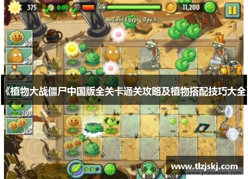 《植物大战僵尸中国版全关卡通关攻略及植物搭配技巧大全》