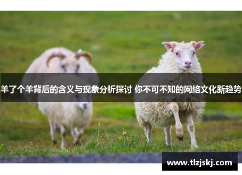 羊了个羊背后的含义与现象分析探讨 你不可不知的网络文化新趋势