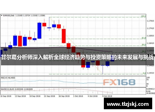 甘尔葛分析师深入解析全球经济趋势与投资策略的未来发展与挑战